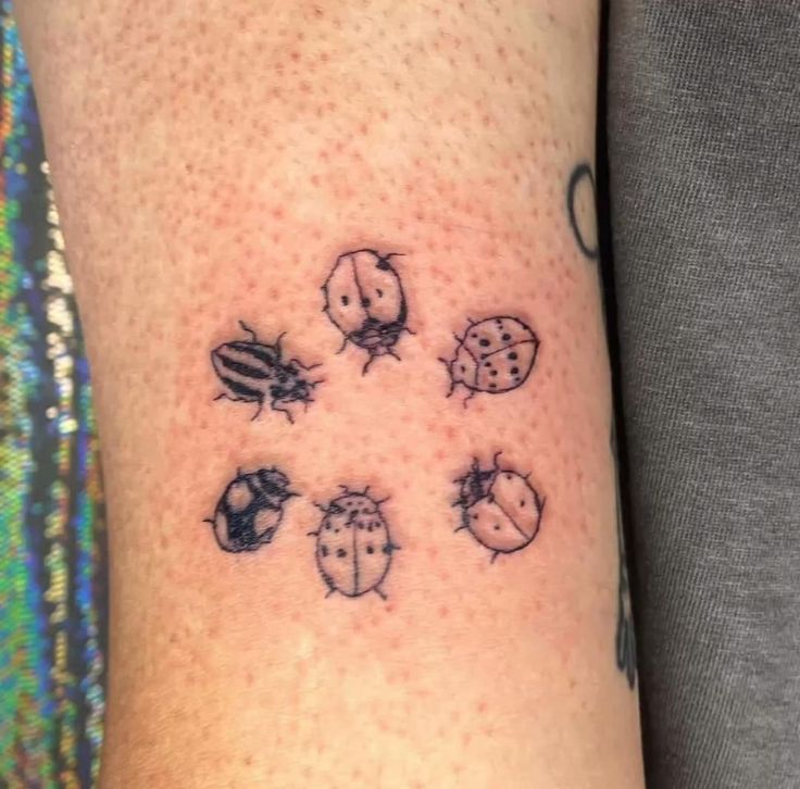 a ladybug tattoo on the left arm with six bugs in it and one bug out