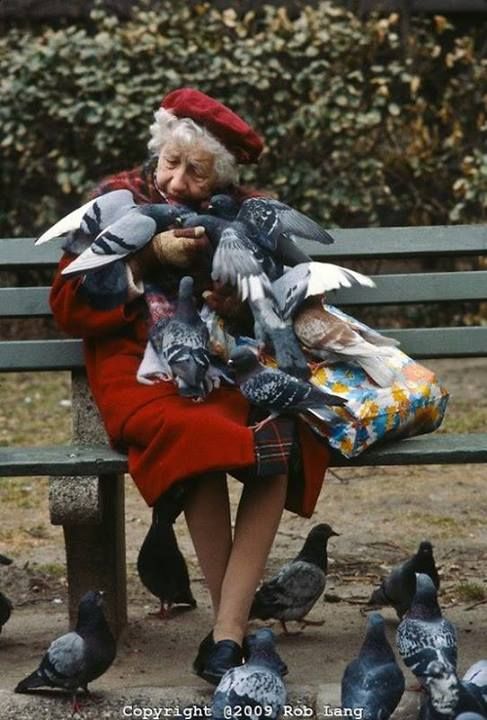 an old woman sitting on a park bench surrounded by ducks and pigeons in black and white