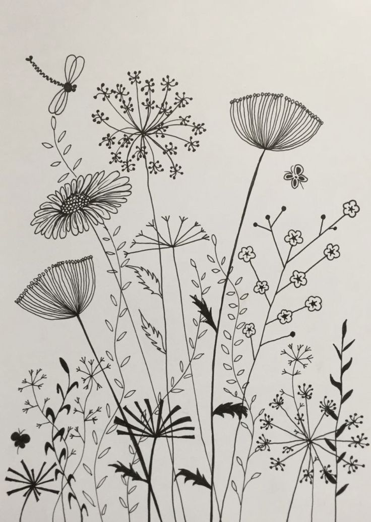 black and white drawing of wildflowers with dragonflies