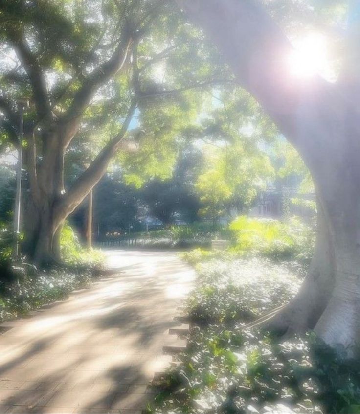 the sun shines brightly through the trees and leaves on this path that leads to a park