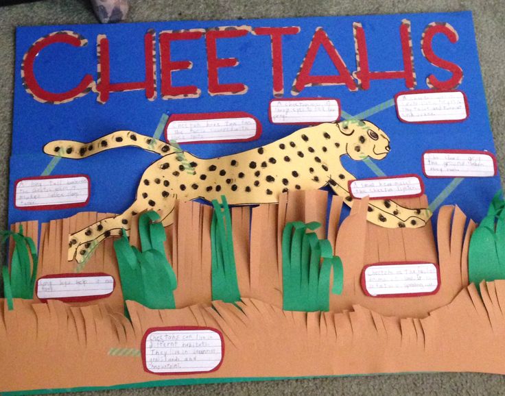 a paper cut out of a cheetah and other animals in the desert with words written on it