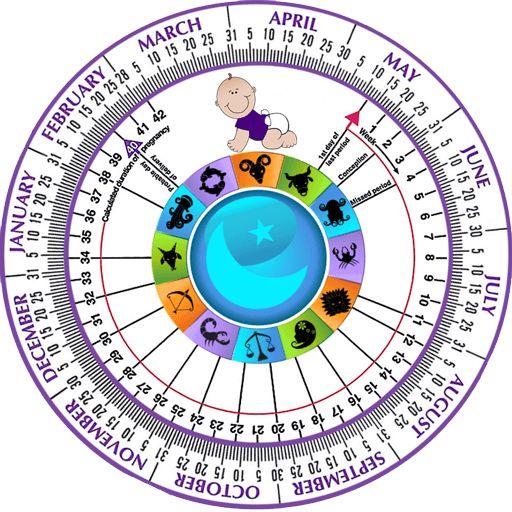 an astro wheel with zodiac signs on it