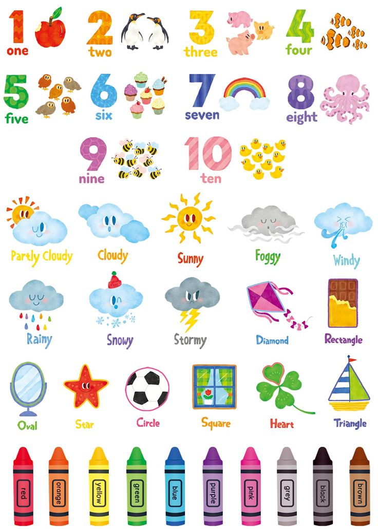 an image of children's numbers and crayons