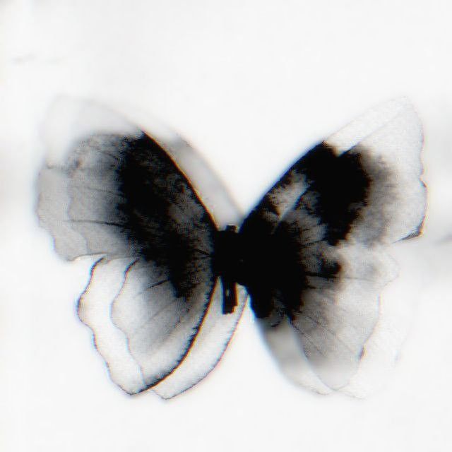 a black and white butterfly flying through the air