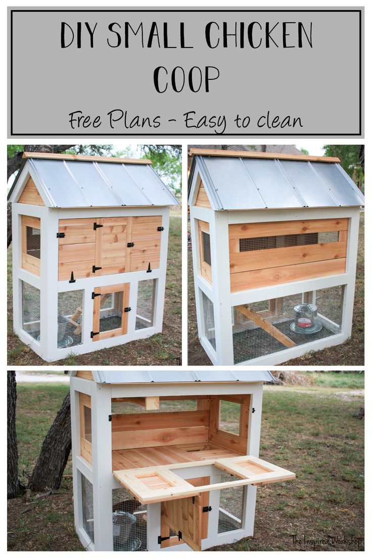 DIY Small Chicken Coop Plans Diy Small Chicken Coop, Pallet Backyard, Coop Layout, Small Chicken Coop, Chicken Coop Plans Free, Chicken Coop Blueprints, Oasis Backyard, Small Chicken Coops, Cute Chicken Coops