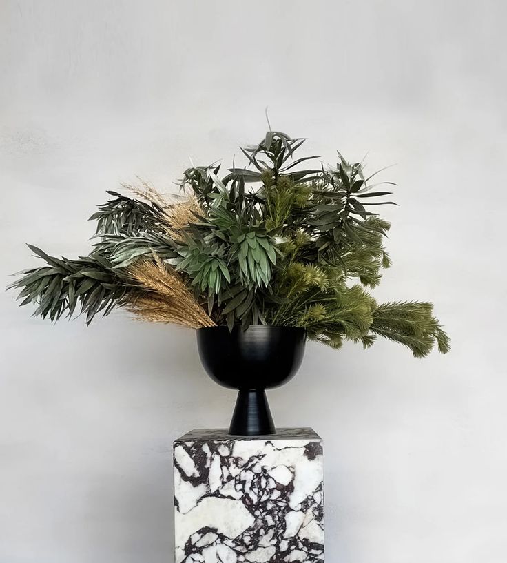 a black vase with plants in it sitting on a marble block stand against a white wall