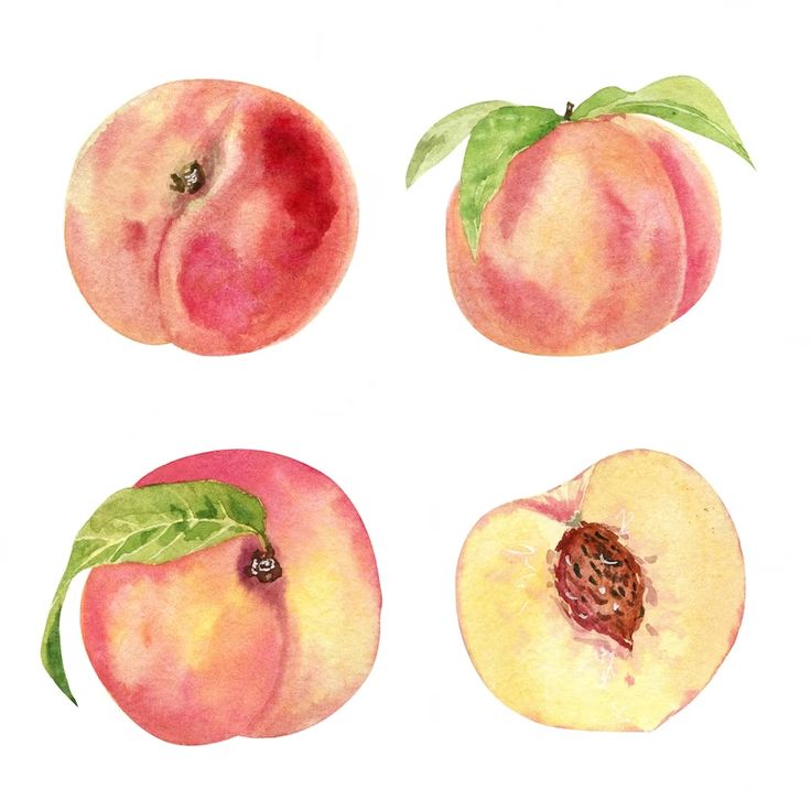 four peaches with green leaves on them