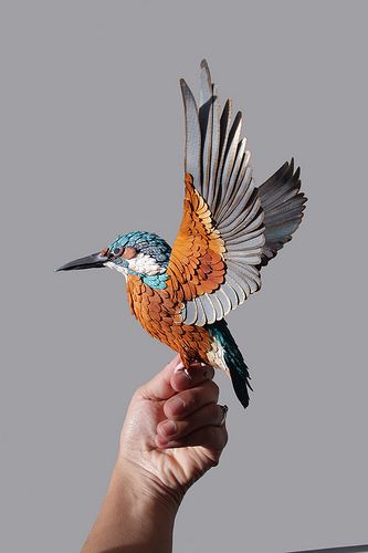 a bird that is sitting on someone's hand with its wings spread wide open