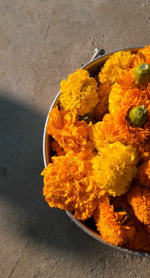 a bucket filled with yellow flowers sitting on top of a cement floor next to a sidewalk