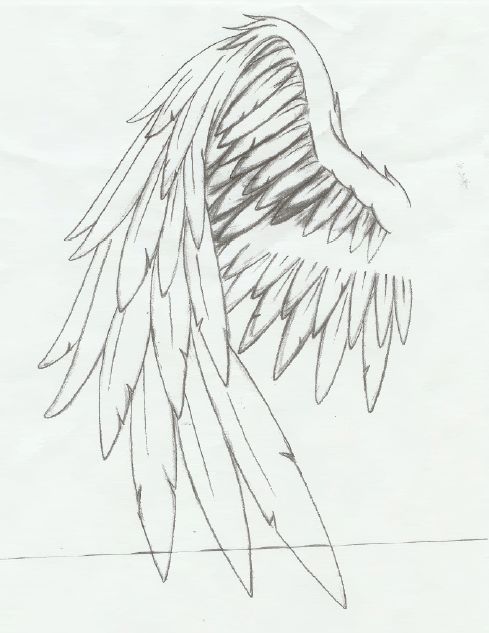 a drawing of an angel wing on paper