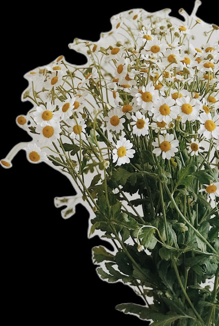 a vase filled with lots of white and yellow flowers