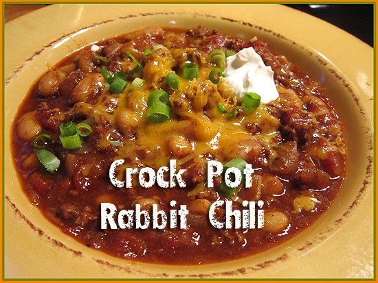 crock pot rabbit chili in a yellow bowl with sour cream and green onions on top