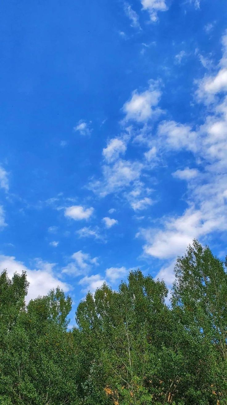 an airplane is flying in the sky over some trees