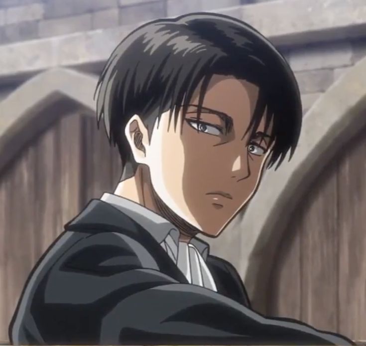 Levi Ackermann, Captain Levi, Titans Anime, Attack On Titan Levi, Attack On Titan Art, Titan Anime, Anime Profile, Levi Ackerman, Fanarts Anime