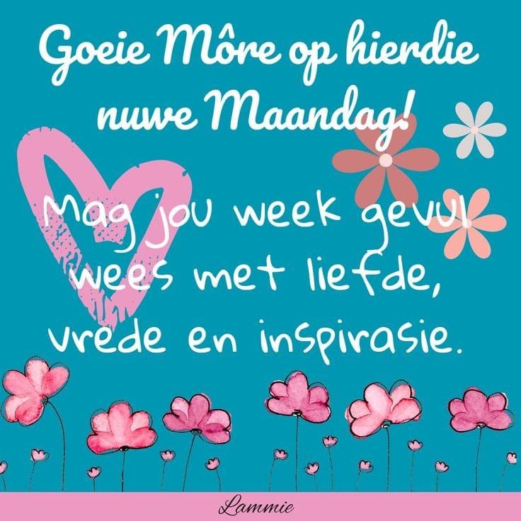 a blue background with pink flowers in the middle and a quote that reads, goie moie op hende nume mandag mag you week