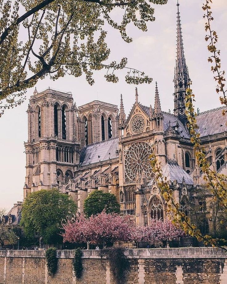 an old cathedral is seen from across the water with trees in bloom on either side