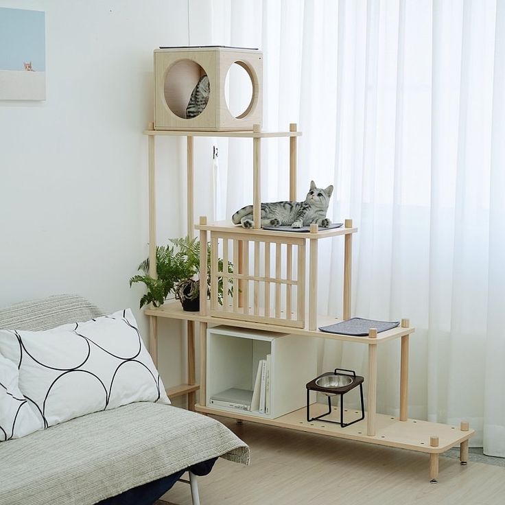 a living room with a couch, table and cat toys on top of the shelves