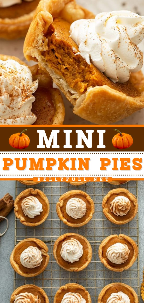 Need an easy Thanksgiving sweet treat? Here's a mini pie recipe in a muffin tin! Delicious and fun to eat, these simple mini pies are great for entertaining. Save this pumpkin food idea and enjoy these pie bites! Heart Apple Pie, Ed Smith Pumpkin Pie Filling Recipes, Halloween Individual Desserts, Bellyfull Recipes, Mini Pumpkin Pies Recipe, Traditional Pumpkin Pie, Pumpkin Filling, Fall Baking Recipes, Mini Pumpkin Pies