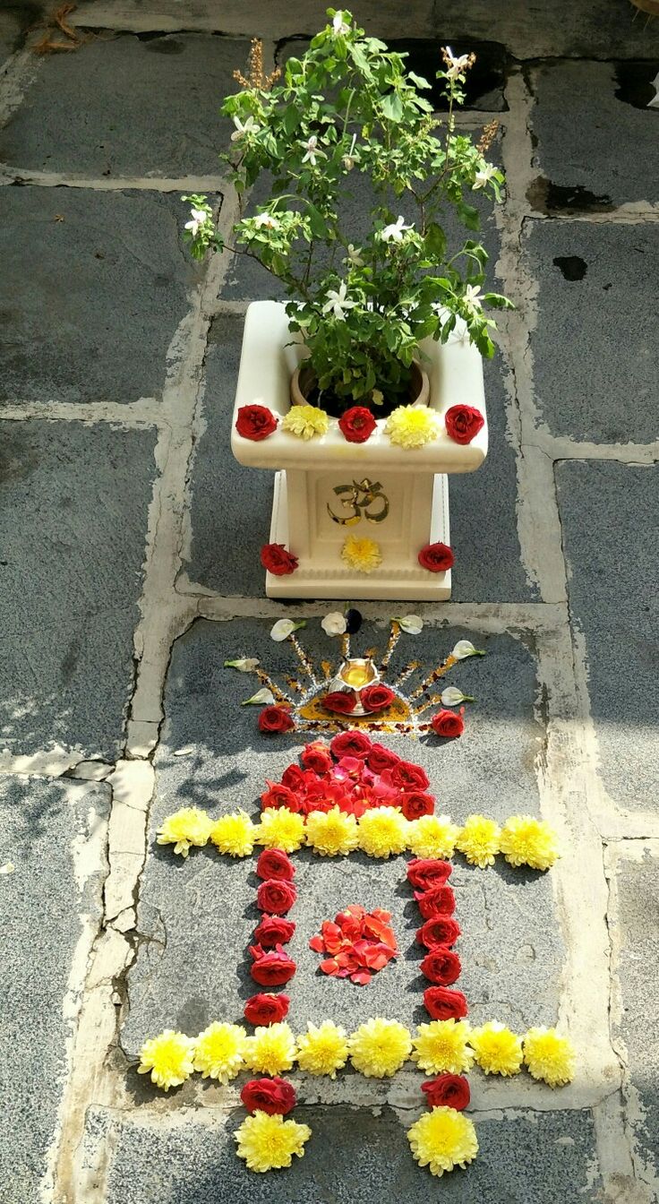 a potted plant sitting on top of a sidewalk