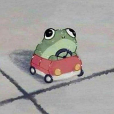 a cartoon frog driving a toy car on the street with caption that reads, i'm not going to drive