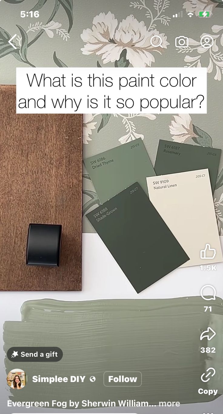 an image of what is this paint color and why it's so popular?