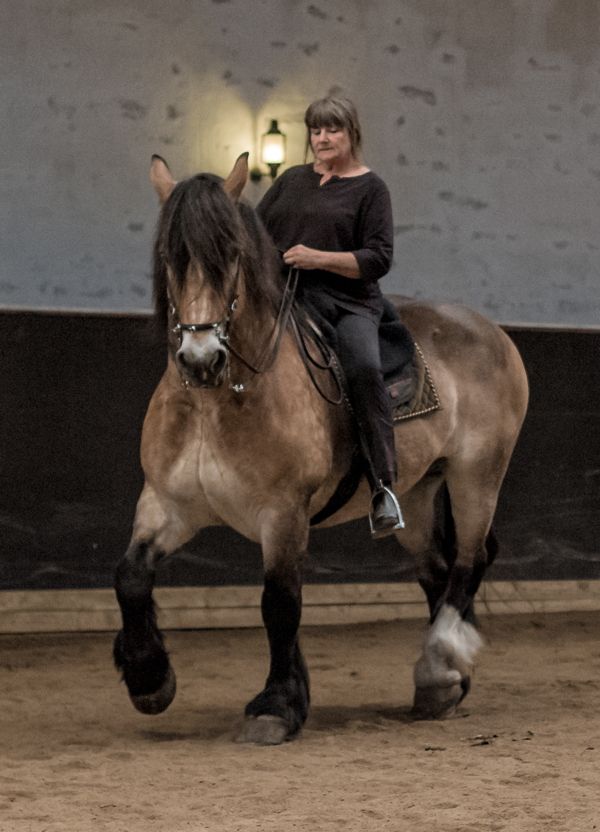 a woman riding on the back of a brown horse