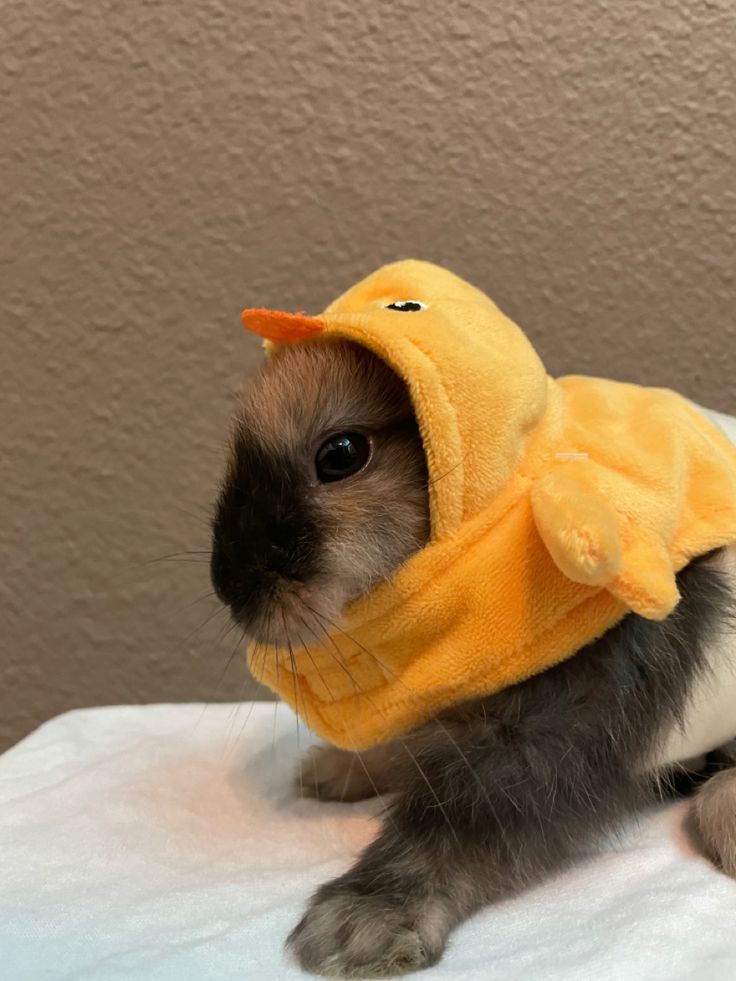 a small rabbit wearing a yellow towel on top of it's head and ears