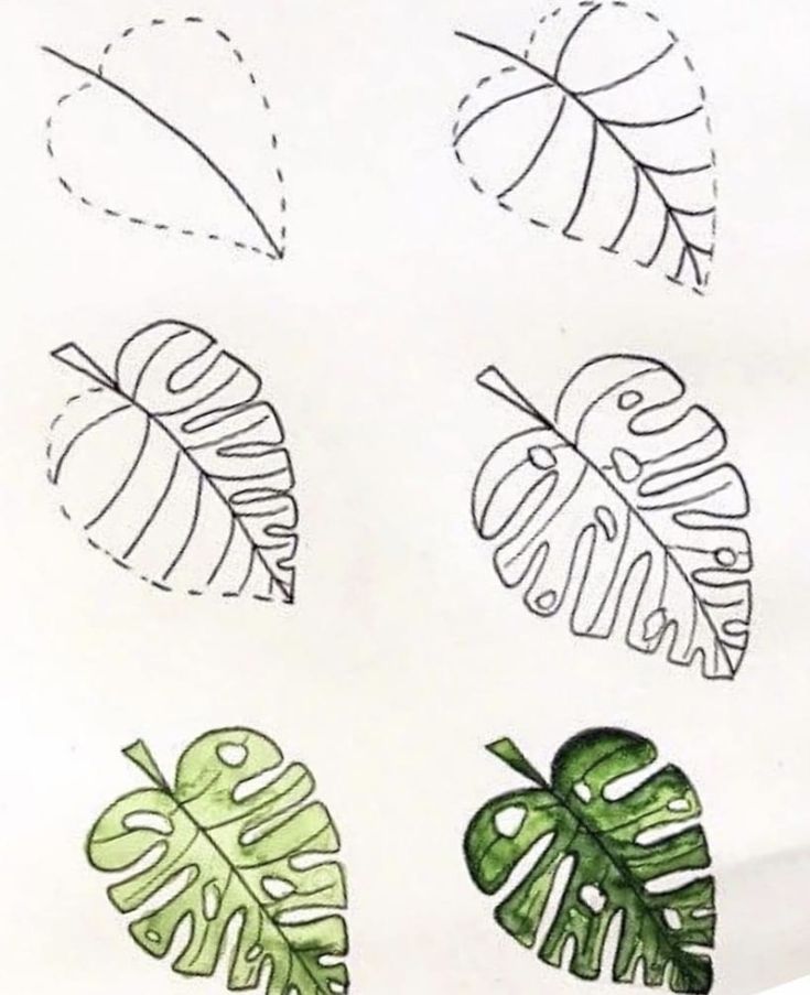 four different types of leaves drawn on paper