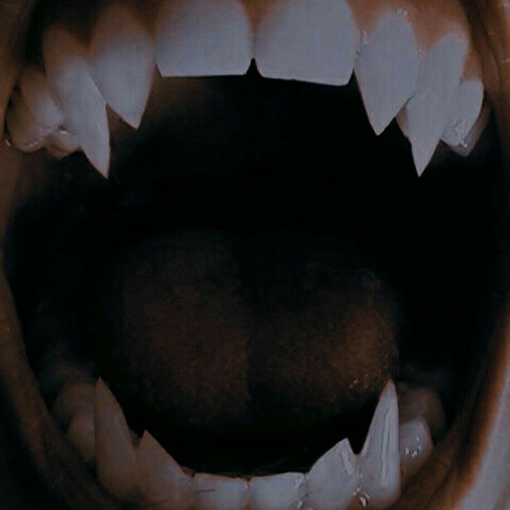 the mouth of an animal with sharp teeth and large white teeth is shown in this image