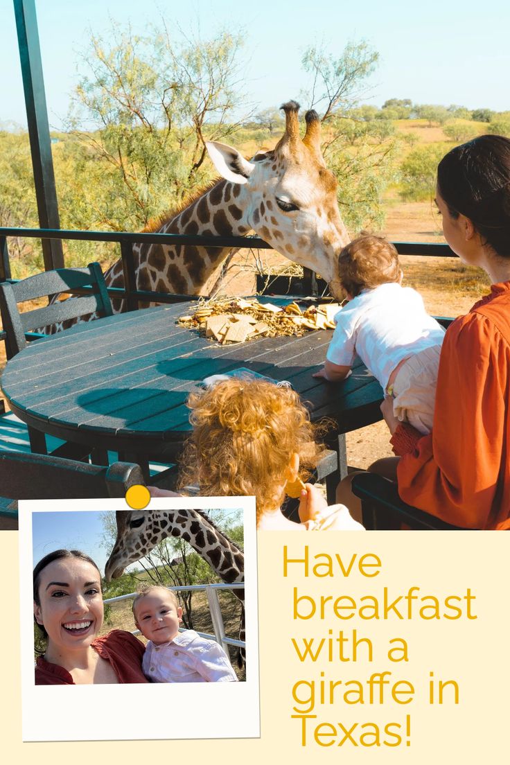 two children and an adult are looking at a giraffe eating from a table