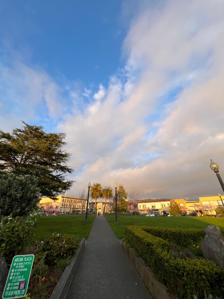 a path in the middle of a park with trees and bushes on both sides, under a cloudy sky