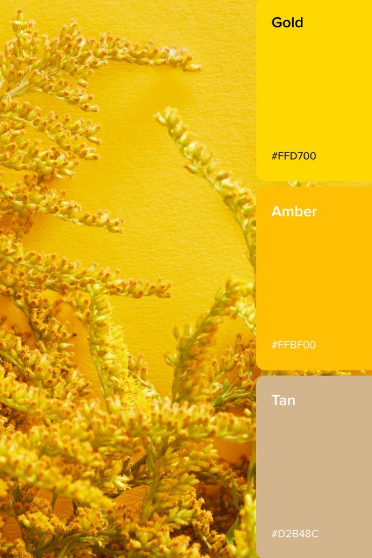 a yellow and gray color scheme with the words gold on it, in front of a plant