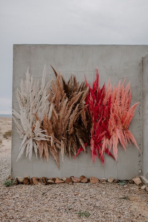 some red and white plants are on a concrete wall in the middle of desert land