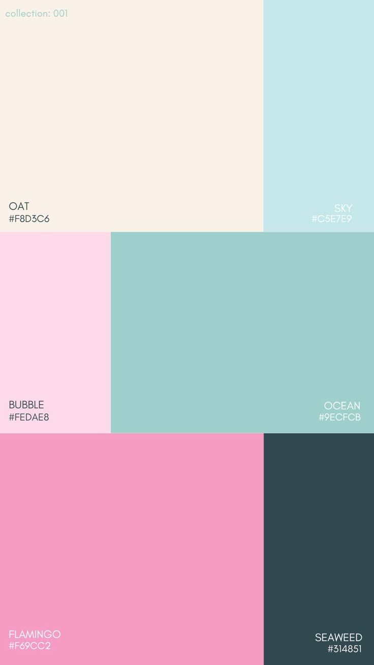 the color scheme is shown with different colors and font on each side, including blue, pink