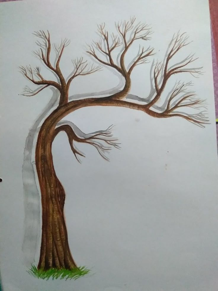 a drawing of a tree with no leaves