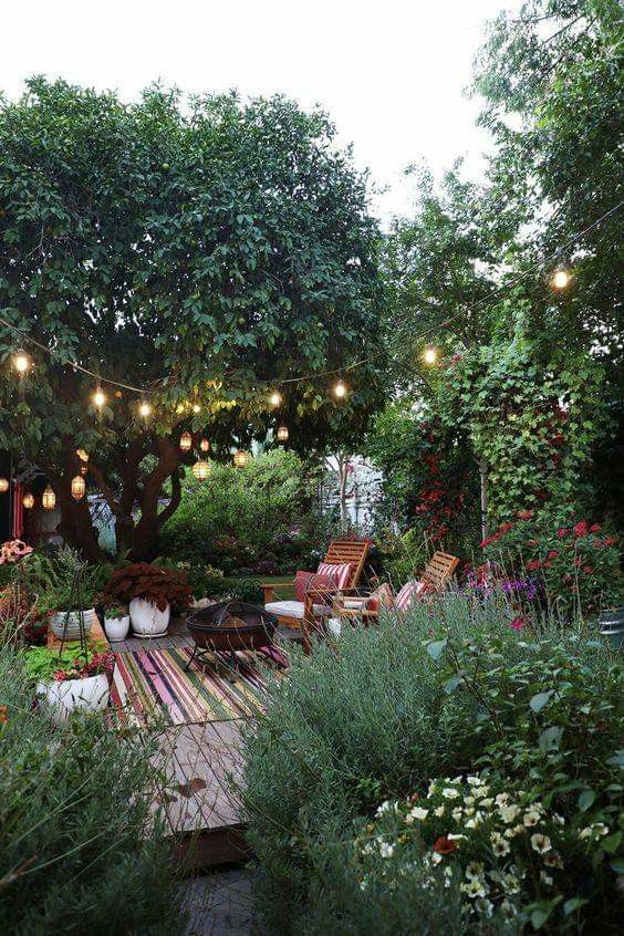 an outdoor seating area surrounded by trees and plants, with string lights strung over it