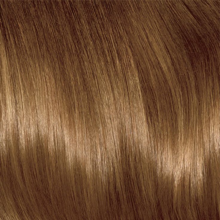 6.5G, LIGHTEST GOLDEN BROWN Long Light Golden Brown Hair, Dark Gold Hair Color, Golden Brown Hair Color Honey, True Spring Hair, Dark Golden Hair, Dark Gold Hair, Brown Golden Hair, Spring Hair Colour, Brown Gold Hair