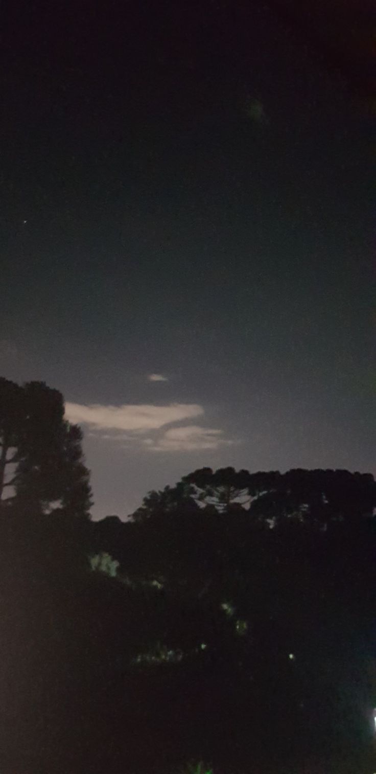 the street light is shining brightly in the dark night sky above some trees and bushes