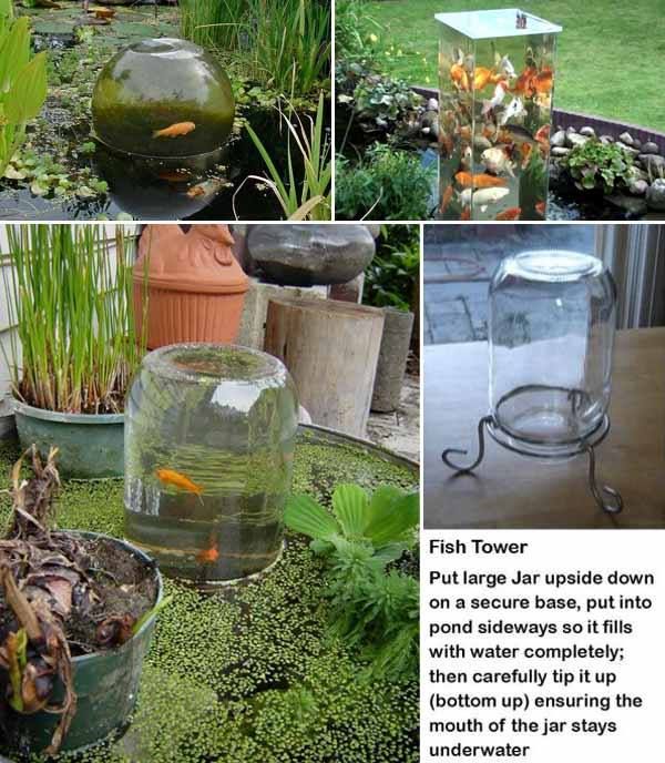 there is a fish in a glass jar on the ground next to plants and other things