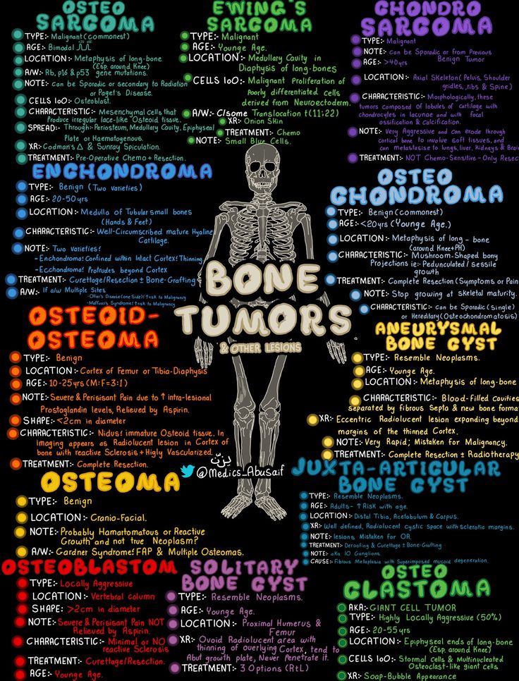 a poster with different types of bones and their names in the shape of a human body