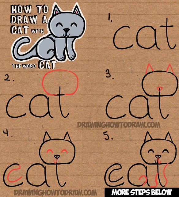 the instructions for how to draw a cat