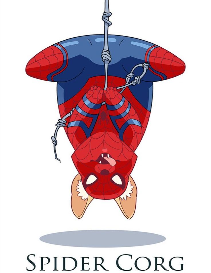 a spider - man hanging upside down with the words spider corg on it's chest