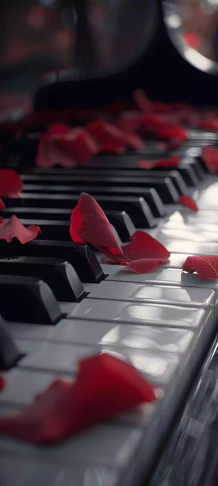 red petals on the keys of a piano