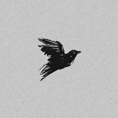 a black bird flying in the sky on a cloudy day