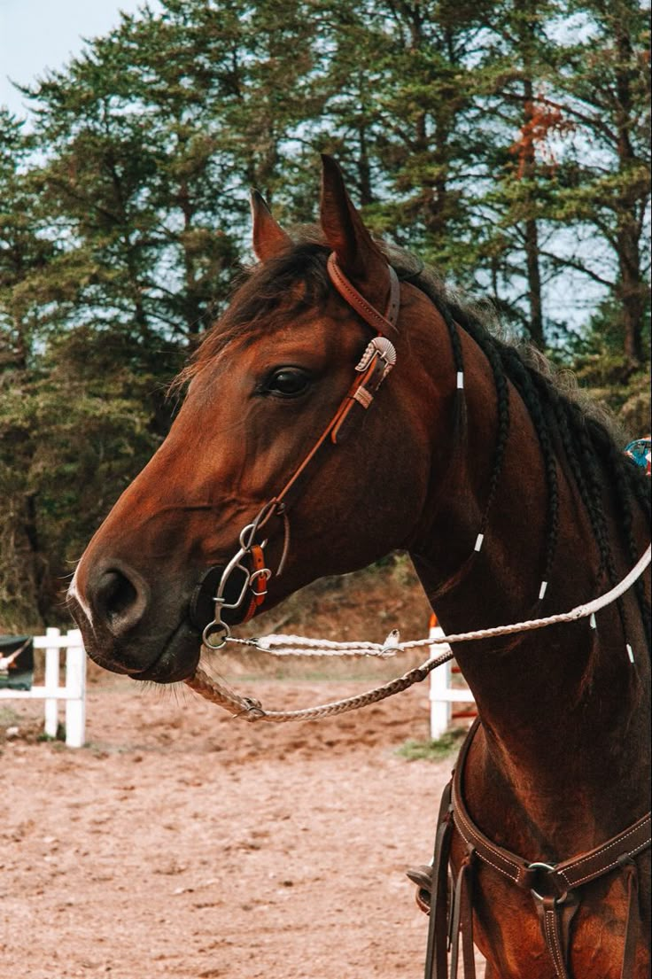 a brown horse standing on top of a dirt field