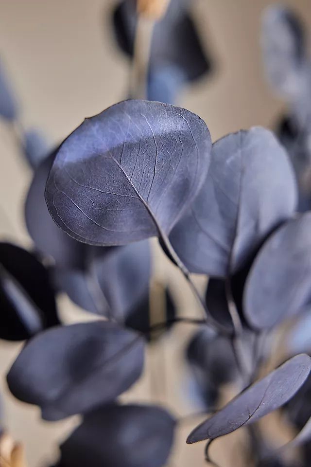 some very pretty purple flowers with long stems