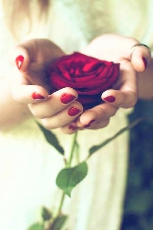 a woman holding a red rose in her hands with both hands on top of it