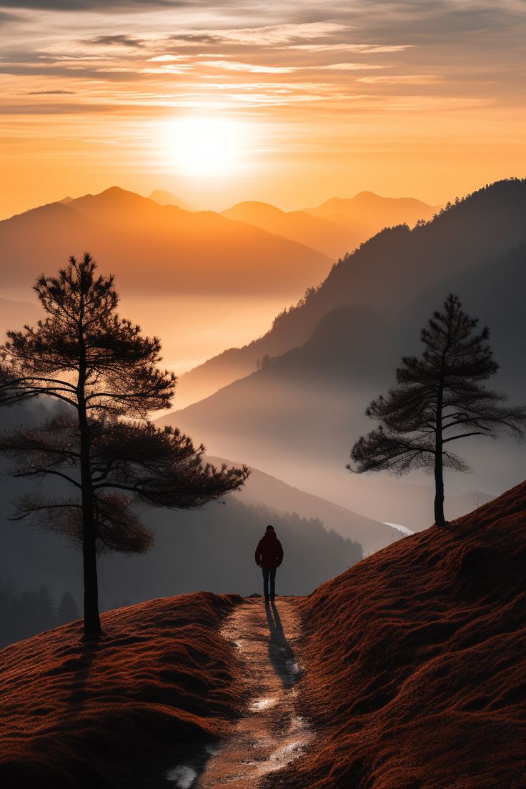 a person walking down a trail in the mountains at sunset with trees on either side