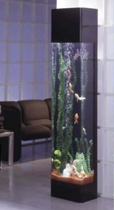 an aquarium with fish and algaes in it on the floor next to a chair