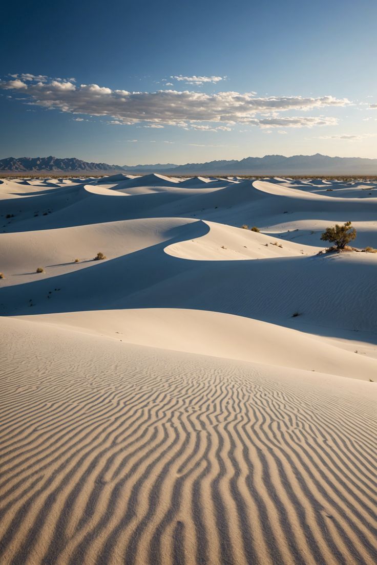 Dunes of Wonder: Exploring the Mystical White Sands of New Mexico Desert Dunes Photography, White Sand New Mexico, White Sand Desert, White Sand National Park, New Mexico National Parks, New Mexico Aesthetic, White Sand Dunes, Aladdin Musical, New Mexico Landscape